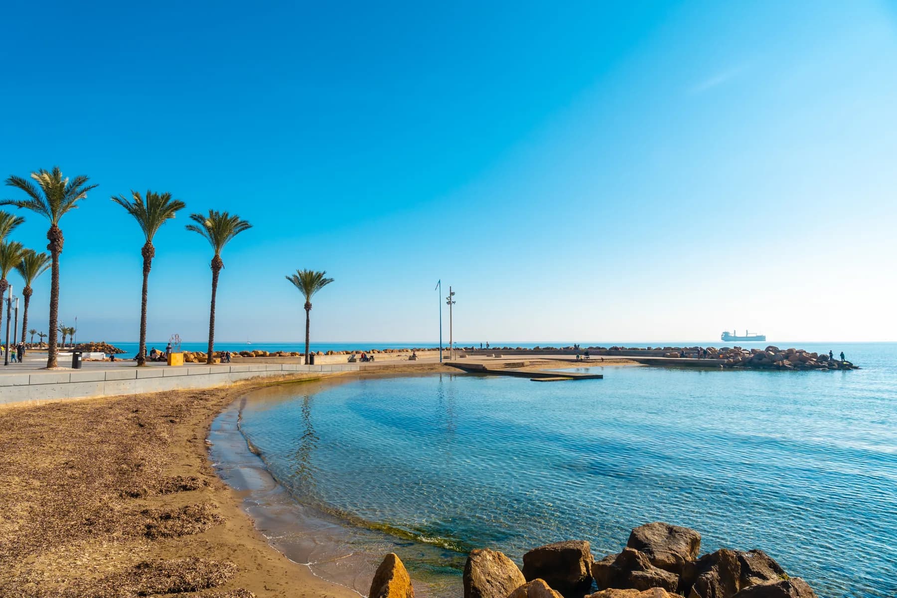 Palm-lined beach beside Playa del Cura in Torrevieja